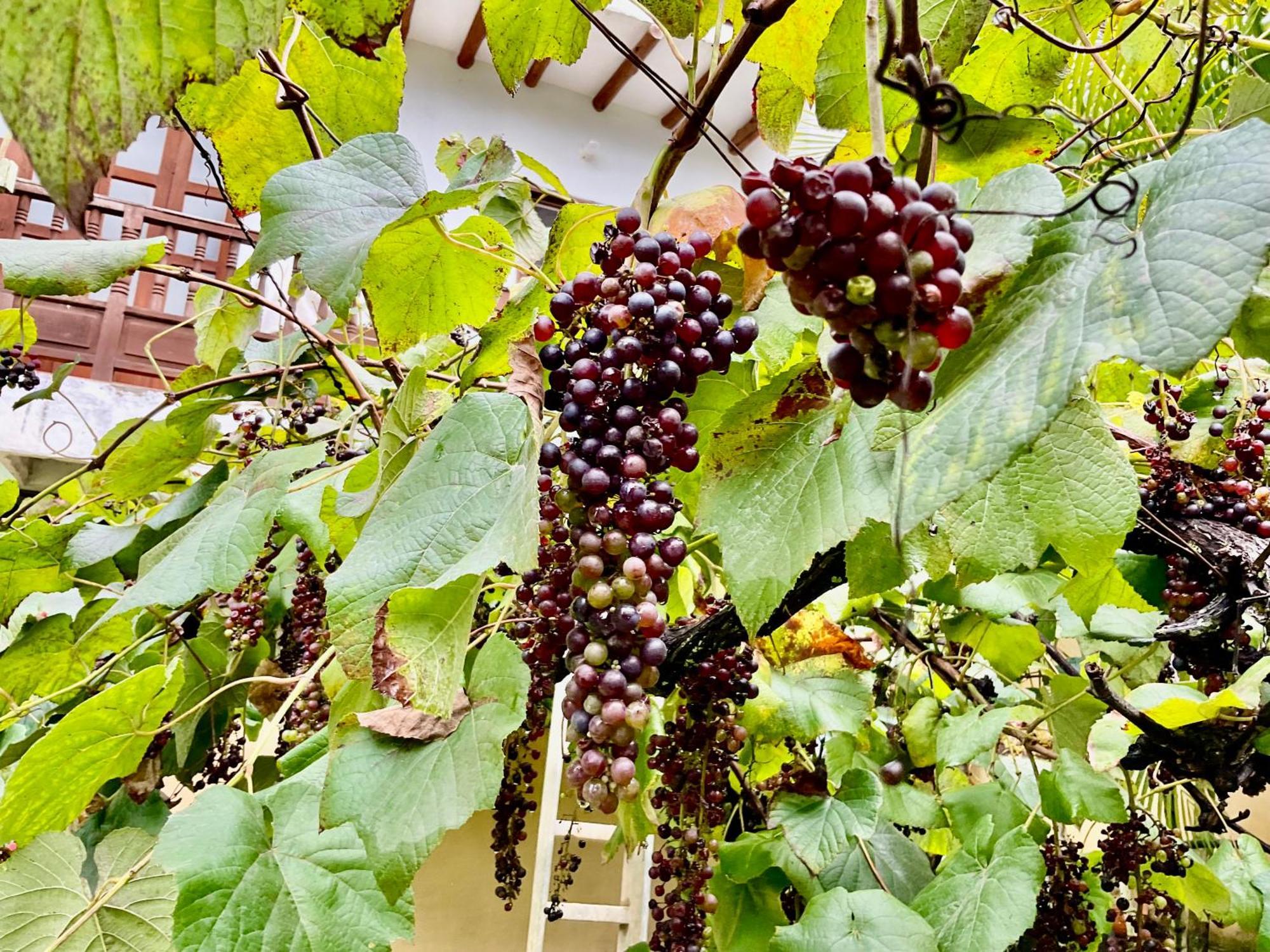Appartamento Casona El Retiro Barichara Esterno foto